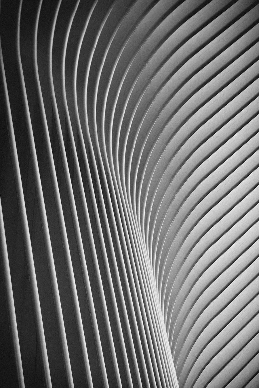 Curved architectural ribs rising in repeating parallel lines.